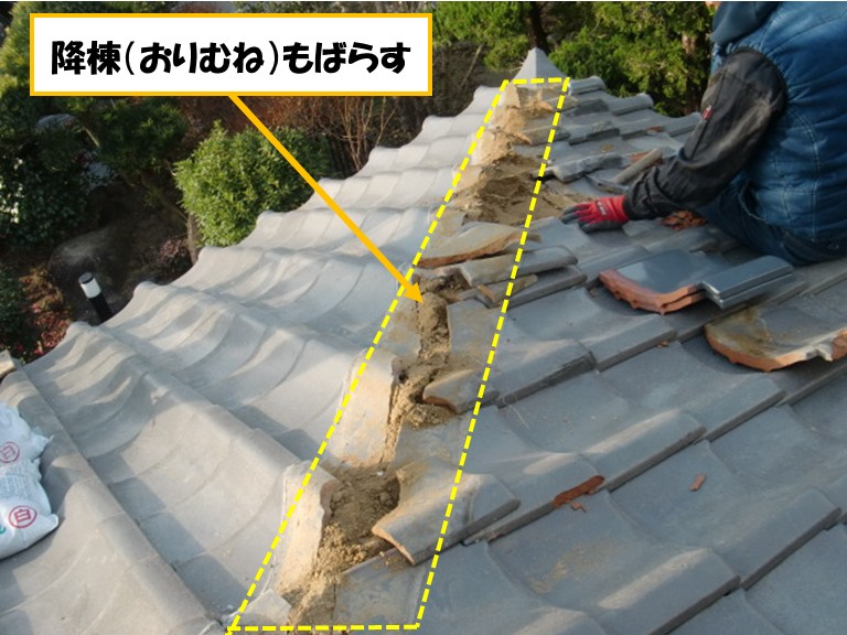 高石市　降棟もばらす